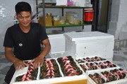  Nghịch lý: Giá cua Cà Mau cao hay thấp, bán nhiều hay ít là do vựa ở biên giới quyết định 