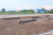 Đến vùng này của Tiền Giang, thấy vô số ao tôm bỏ không, cạn khô, hỏi ra mới bất ngờ