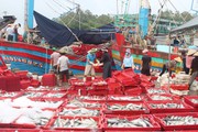 Bàn giải pháp nâng cao hiệu quả khai thác, giá trị chế biến thủy sản trong giai đoạn mới