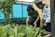 Đoàn công tác TƯ Hội NDVN thăm, tặng quà ở Trường Sa, Nhà giàn DK1 (Bài 4): Đảo Đá Tây C, niềm tin vững chắc