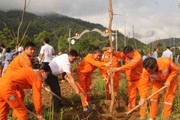 Lai Châu: Mường Tè phát động “Tết trồng cây đời đời nhớ ơn Bác Hồ”