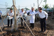 TP.HCM phát động "Tết trồng cây đời đời nhớ ơn Bác Hồ"