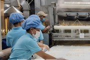 Là tỉnh có diện tích lúa lớn nhất nhì miền Bắc, Thái Bình mới xuất khẩu được 600 tấn gạo, vì sao?