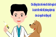 Một bệnh nhân tử vong nghi do chó dại cắn ở Bình Thuận