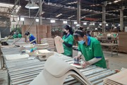Xuất khẩu gỗ sụt giảm, doanh nghiệp gỗ Việt gửi kiến nghị đến ngành ngoại giao
