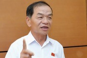 Đại biểu Quốc hội: "Hơn 4.600 MW điện tái tạo không được đấu lưới, phải nhập điện Trung Quốc... có buồn không!?"