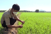 Quá nhiều vướng mắc, Chủ tịch HĐQT Thái Bình Seed Trần Mạnh Báo đề xuất sửa Luật Trồng trọt 