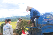 Giao thông được làm mới, nông dân thay đổi phương thức sản xuất, bản làng ở Mường Khoa thêm trù phú