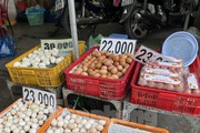 Trứng gà rẻ chưa từng có