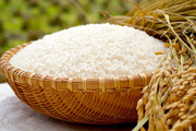 Sản xuất gạo của châu Phi chưa bao giờ đủ, cơ hội nào cho gạo Việt?