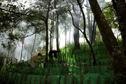Ngã ba biên giới Mường Nhé ở Điện Biên, nơi dân giữ rừng, được hưởng lợi từ rừng