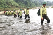 Bị kiểm toán “tuýt còi”, Quảng Nam đề nghị bãi bỏ nghị quyết về hỗ trợ quản lý, bảo vệ rừng lưu vực thủy điện