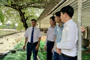 39 năm Báo Nông thôn Ngày nay ra số đầu tiên: Niềm tin của hàng triệu cán bộ, hội viên, nông dân 