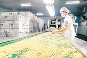  Một loại hạt được nhập khẩu ồ ạt, ngành hàng Việt Nam đang dẫn đầu toàn cầu về xuất khẩu bị ảnh hưởng