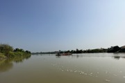Cá sông chết bất thường, nổi trắng dòng sông Sêrêpôk đoạn chảy qua tỉnh Đắk Lắk và tỉnh Đắk Nông