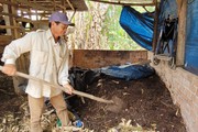Ở Việt Nam có thứ gì được cho là nguồn lợi lớn cho nông nghiệp tuần hoàn, nhưng đang bị bỏ phí?