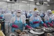 FED tăng lãi suất cơ bản, xuất khẩu Việt Nam ra sao?