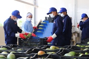 Sơn La: Nâng cao chất lượng sản phẩm nông nghiệp
