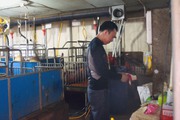 Lao động được vay tối đa 100 triệu đồng để ký quỹ đi làm việc Hàn Quốc