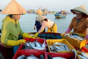 Chợ quê lập từ thời nhà Nguyễn ở Quảng Ngãi họp ngay mép sóng, trên trời dưới toàn cá tươi ngon