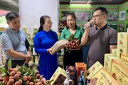 Hội Nông dân Hà Nội tổ chức phiên giao dịch giới thiệu, quảng bá, tiêu thụ sản phẩm nông nghiệp an toàn