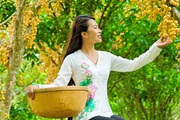  Thiên Cấm Sơn vào mùa cây trái xum xuê