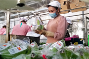 Sản phẩm Việt Nam được doanh nghiệp nước ngoài mua về chế biến, dán nhãn hiệu khác rồi bán giá cao hơn hẳn