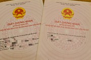 Quảng Nam: Cảnh cáo Phó Chủ tịch xã Tam Mỹ Đông vì thiếu trách nhiệm để xảy ra hành vi tham nhũng