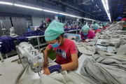 "Người lao động Việt Nam đang được rút BHXH một lần quá dễ dàng"
