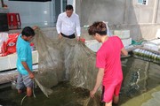 Đây là những vật nuôi, cây trồng mới, lạ đang mang lại thu nhập cao cho nông dân Tiền Giang