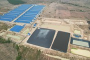 3 trang trại nuôi heo ở Gia Lai bị xử phạt gần 1 tỷ đồng