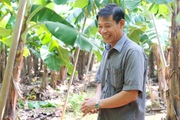 Một giám đốc Hợp tác xã ở Đồng Nai bán được quả chuối, chuối sấy, bẹ chuối ra chợ toàn cầu