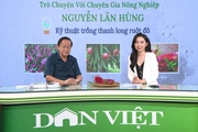 GÓC CHUYÊN GIA: Cách trồng thanh long ruột đỏ, ý kiến từ chuyên gia