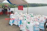 Vào tổ nghề cá cộng đồng có "lợi lộc" gì mà ngư dân Bình Phước tham gia đều vui vẻ hẳn lên?