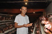 Cần làm gì để xây dựng được vùng chăn nuôi an toàn dịch bệnh giúp rộng đường xuất khẩu?