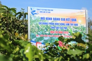 Phân bón Sông Lam Tây Bắc đồng hành cùng nông dân làm giàu