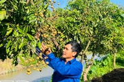 Một huyện của tỉnh Thái Bình có 150.000 nông dân sản xuất giỏi, trong đó có nhiều tỷ phú