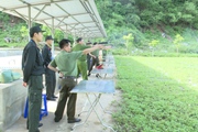 Công an Sơn La thi bắn súng quân dụng: Nâng cao kỹ năng sử dụng vũ khí