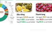 Ngỡ ngàng 5 loại trái cây Việt Nam được Trung Quốc nhập khẩu nhiều nhất