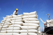 Bộ Công Thương yêu cầu báo cáo gấp gạo tồn kho, hợp đồng xuất khẩu gạo