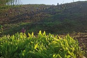 Đẩy mạnh chương trình tín dụng ở Khánh Hòa trong lâm sản và thủy sản 