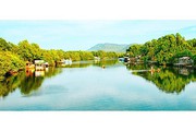 Một dòng sông dài 21,5km ở đảo Phú Quốc của Kiên Giang, cây bần, cây đước, cây dừa nước mọc la liệt