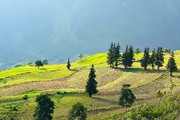 Top 7 trải nghiệm ở Hoàng Su Phì (Hà Giang) du khách nên thử