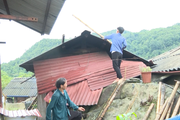Nông dân Sìn Hồ của Lai Châu có nhiều giải pháp giải thiệt hại do thiên tai, mưa lũ