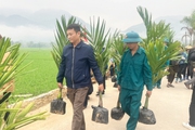 Hà Giang: Hoàn thiện hạ tầng, nông thôn Vị Xuyên khởi sắc 