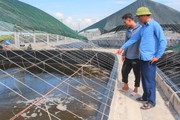 Tỷ phú nuôi tôm công nghệ cao, nuôi con vạng ở Nam Định là Nông dân xuất sắc 2023
