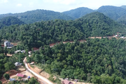 Hạt Kiểm lâm Phù Yên (Sơn La) vì một tương lai xanh