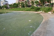 Hồ Linh Quang (quận Đống Đa) có màu nước "xanh lạ" 