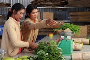 Làm nông nghiệp hữu cơ, tuần hoàn đừng chộp giật, nửa vời, vật nuôi hữu cơ cũng cần được tôn trọng