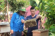 Phong trào Nông dân sản xuất, kinh doanh giỏi ở huyện biên giới Nậm Pồ, nhiều nông dân thu nhập tiền tỷ mỗi năm